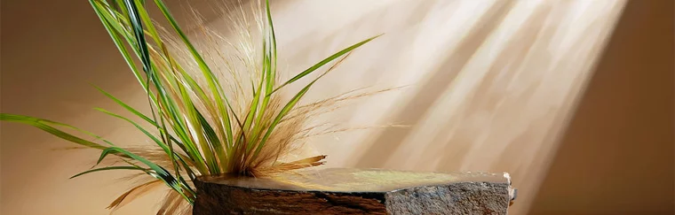 Ambiance zen salle de bain