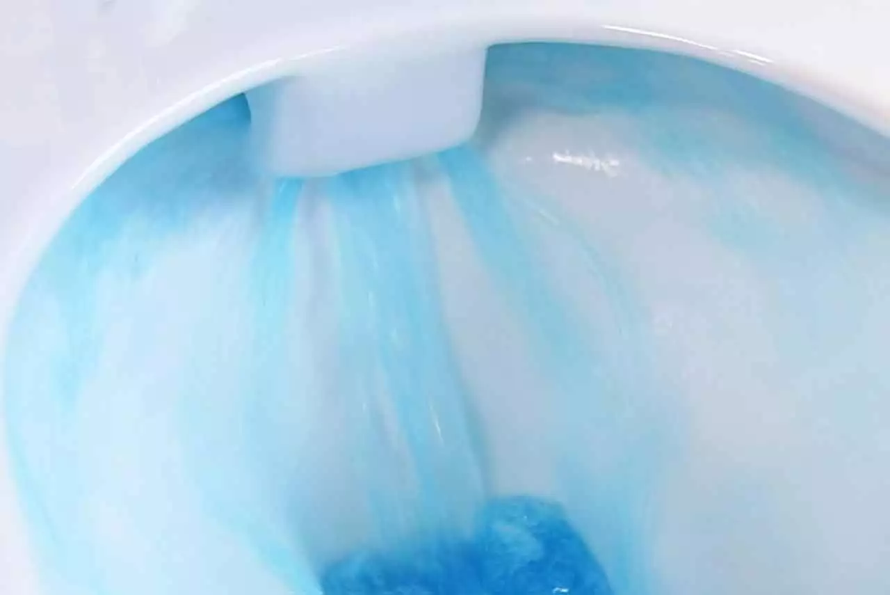 Qu'est-ce qu'un WC sans bride ?